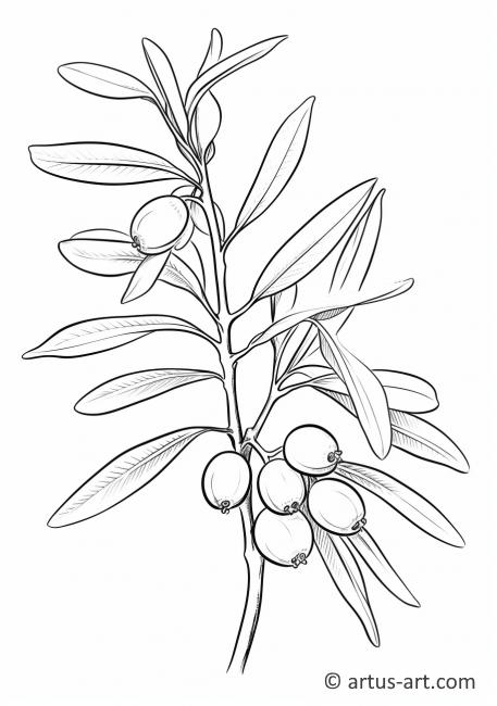 Kumquatblade Malebogsside